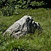 <b>Faiallo's Standing Stone</b>Posted by McGlen