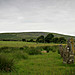 <b>Rhos Fach Standing Stones</b>Posted by postman
