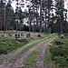 <b>Boeryd grave field</b>Posted by L-M K