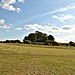 <b>Wittenham Clumps and Castle Hill</b>Posted by ginger tt