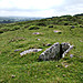 <b>Chittaford Cairn and Cist</b>Posted by Mr Hamhead