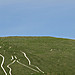 <b>The Trendle (Cerne Abbas)</b>Posted by formicaant