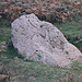 <b>Ramsdale Standing Stones</b>Posted by moggymiaow