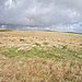 <b>Spurrell's Cross Stone Row</b>Posted by Billy Fear