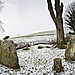 <b>The Nine Stones of Winterbourne Abbas</b>Posted by A R Cane