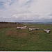 <b>Arbor Low</b>Posted by GLADMAN