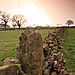 <b>Nine Stones Close standing stone</b>Posted by postman