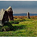 <b>White Moor Stone Circle</b>Posted by GLADMAN