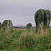 <b>Duddo Five Stones</b>Posted by GLADMAN
