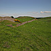 <b>Loughcrew Complex</b>Posted by ryaner