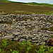 <b>Blawearie Cairn</b>Posted by caealun