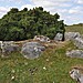 <b>Carrig Wedge Tomb</b>Posted by bogman