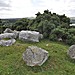 <b>Carrig Wedge Tomb</b>Posted by bogman
