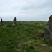 <b>Stalldown Stone Row</b>Posted by thesweetcheat