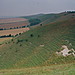 <b>Golden Ball Hill</b>Posted by GLADMAN