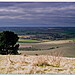 <b>Ivinghoe Beacon</b>Posted by GLADMAN
