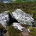 <b>Porth Hellick Downs</b>Posted by thesweetcheat