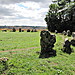 <b>The Rollright Stones</b>Posted by tjj