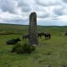 <b>Drizzlecombe Megalithic Complex</b>Posted by thesweetcheat
