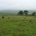 <b>Brisworthy Stone Circle</b>Posted by thesweetcheat