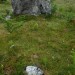 <b>Brisworthy Stone Circle</b>Posted by thesweetcheat