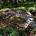 <b>Fairy Stone (Cottingley)</b>Posted by Chris Collyer