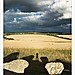 <b>West Kennet</b>Posted by earthstone