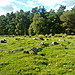 <b>Longshaw Estate</b>Posted by megadread