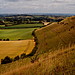 <b>Cley Hill</b>Posted by GLADMAN