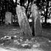 <b>Clava Cairns</b>Posted by pure joy