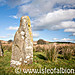 <b>Rhos Fach Standing Stones</b>Posted by Mustard
