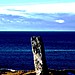 <b>The Macleod Stone</b>Posted by Island Wanderer