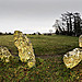 <b>The Rollright Stones</b>Posted by A R Cane