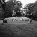 <b>Clava Cairns</b>Posted by thesweetcheat