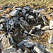 <b>Long Cairn</b>Posted by wideford