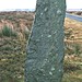 <b>The Wheeldale Stones</b>Posted by fitzcoraldo
