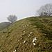 <b>Castell Dinas</b>Posted by GLADMAN