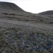 <b>Rhyd-wen Fach stone setting</b>Posted by thesweetcheat