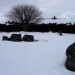 <b>Aviemore</b>Posted by thesweetcheat