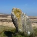 <b>White Moor Stone Circle</b>Posted by thesweetcheat
