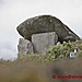 <b>Trethevy Quoit</b>Posted by stonefree