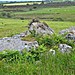 <b>Loughmacrory I</b>Posted by bogman