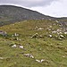 <b>Slievemore</b>Posted by bogman