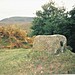 <b>Chalice Stone, Glen Roy</b>Posted by hamish