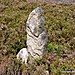 <b>Midgley Moor Standing Stone</b>Posted by breakingthings